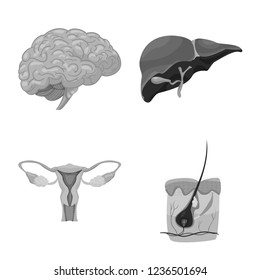 Vector design of body and human icon. Set of body and medical stock symbol for web.