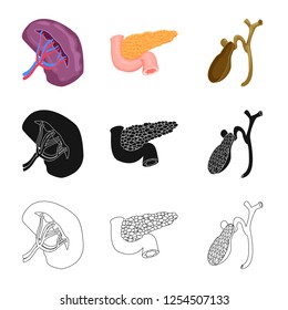 Vector design of body and human icon. Set of body and medical stock symbol for web.