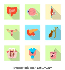 Vector design of body and human icon. Collection of body and medical stock vector illustration.