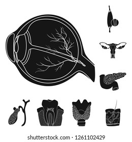 Vector design of body and human icon. Set of body and medical vector icon for stock.