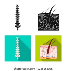 Vector design of body and human icon. Set of body and medical stock symbol for web.