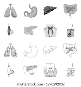 Vector design of body and human icon. Collection of body and medical stock vector illustration.