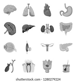 Vector design of body and human icon. Collection of body and medical stock vector illustration.