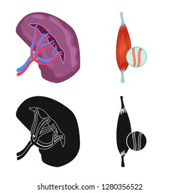 Vector design of body and human icon. Collection of body and medical vector icon for stock.