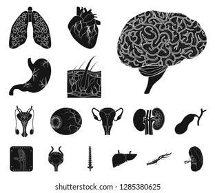 Vector design of body and human icon. Set of body and medical stock vector illustration.