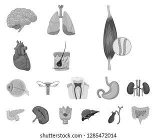 Vector design of body and human icon. Set of body and medical vector icon for stock.
