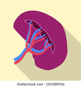 Vector design of body and human icon. Set of body and medical vector icon for stock.