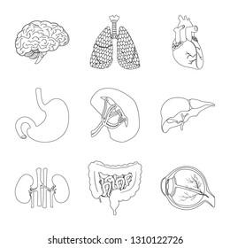 Vector design of body and human icon. Set of body and medical stock vector illustration.
