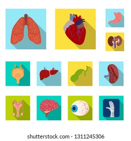 Vector design of body and human icon. Set of body and medical stock symbol for web.
