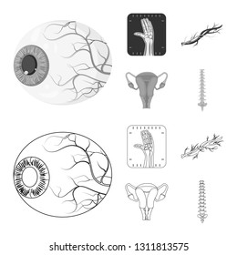 Vector design of body and human icon. Collection of body and medical stock vector illustration.