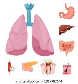 Vector design of body and human icon. Collection of body and medical stock vector illustration.