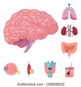 Vector design of body and human icon. Set of body and medical vector icon for stock.