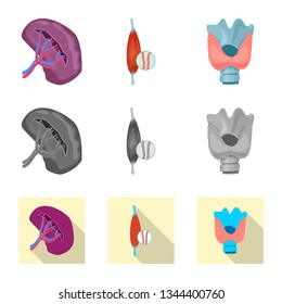 Vector design of body and human icon. Set of body and medical vector icon for stock.
