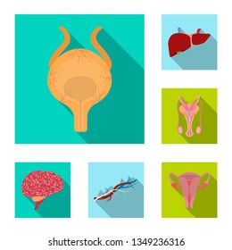 Vector design of body and human icon. Set of body and medical stock vector illustration.