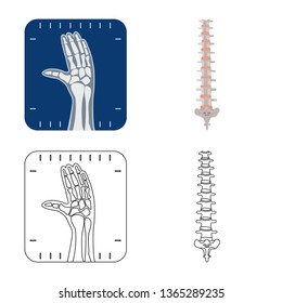 Vector design of body and human icon. Collection of body and medical stock vector illustration.