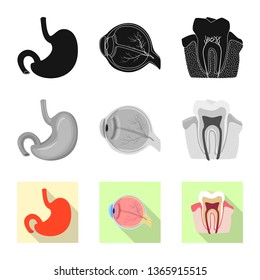 Vector design of body and human icon. Set of body and medical vector icon for stock.