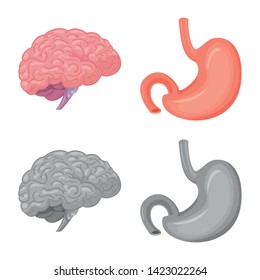 Vector design of body and human icon. Set of body and medical stock vector illustration.