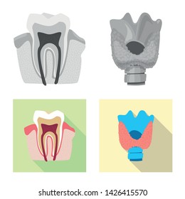 Vector design of body and human icon. Set of body and medical stock symbol for web.