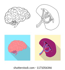 Vector design of body and human logo. Collection of body and medical stock symbol for web.
