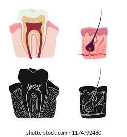 Vector design of body and human logo. Set of body and medical stock vector illustration.