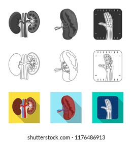Vector design of body and human logo. Collection of body and medical stock vector illustration.