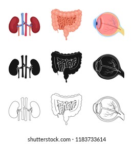 Vector design of body and human logo. Collection of body and medical stock vector illustration.