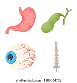Vector design of body and human logo. Set of body and medical vector icon for stock.