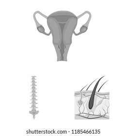 Vector design of body and human logo. Collection of body and medical stock vector illustration.