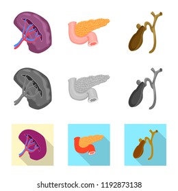 Vector design of body and human logo. Set of body and medical stock symbol for web.