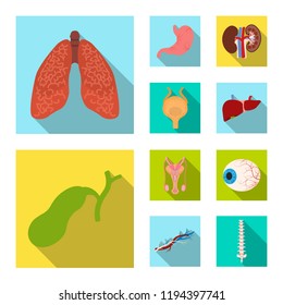 Vector design of body and human logo. Set of body and medical stock vector illustration.