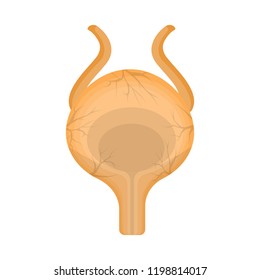 Vector design of body and human logo. Collection of body and medical stock vector illustration.