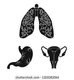 Vector design of body and human logo. Set of body and medical stock vector illustration.