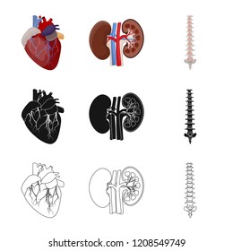 Vector design of body and human logo. Collection of body and medical stock vector illustration.