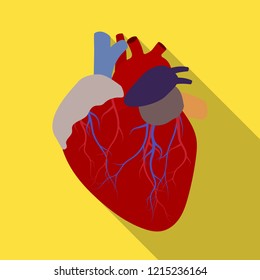 Download Human Heart Images, Stock Photos & Vectors | Shutterstock