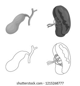 Vector design of body and human logo. Collection of body and medical stock vector illustration.