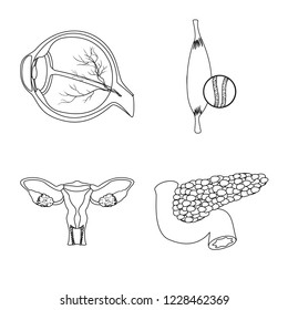 Vector design of body and human logo. Collection of body and medical vector icon for stock.