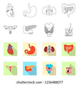 Vector design of body and human logo. Set of body and medical stock symbol for web.
