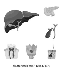 Vector design of body and human logo. Set of body and medical stock symbol for web.