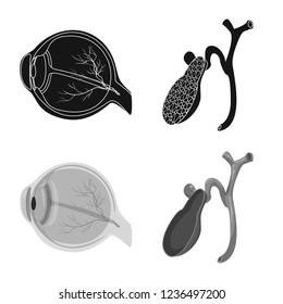 Vector design of body and human logo. Set of body and medical stock vector illustration.