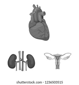 Vector design of body and human logo. Set of body and medical vector icon for stock.