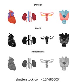 Vector design of body and human logo. Set of body and medical stock symbol for web.