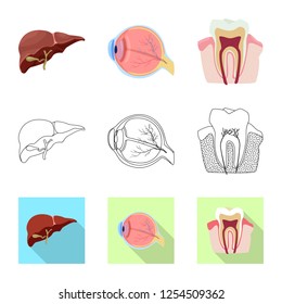 Vector design of body and human logo. Set of body and medical stock symbol for web.