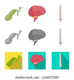 Vector design of body and human logo. Collection of body and medical stock symbol for web.