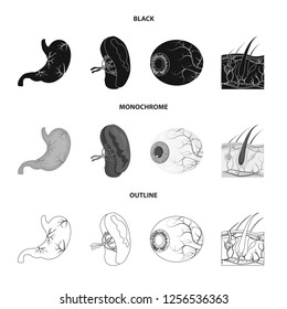 Vector design of body and human logo. Set of body and medical stock vector illustration.