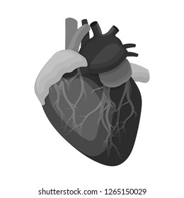 Vector design of body and human logo. Set of body and medical stock symbol for web.