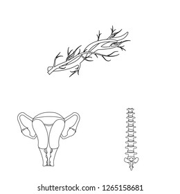 Vector design of body and human logo. Set of body and medical vector icon for stock.