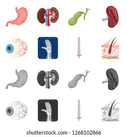 Vector design of body and human logo. Collection of body and medical stock vector illustration.