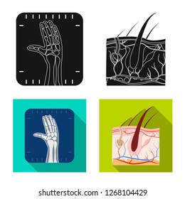 Vector design of body and human logo. Set of body and medical stock symbol for web.