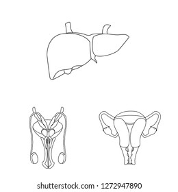 Vector design of body and human logo. Set of body and medical stock symbol for web.