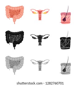 Vector design of body and human logo. Collection of body and medical stock vector illustration.